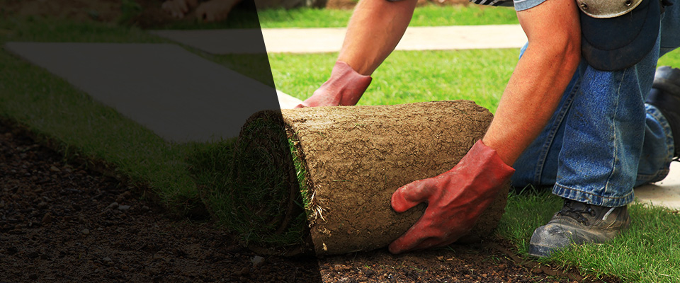 Shingletown Landscapers